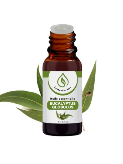 Huile essentielle de EUCALYPTUS GLOBULUS